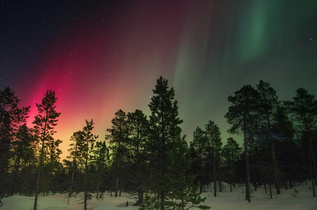 Vibrant aurora borealis over snowy trees during geomagnetic storm in 2025