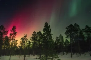 Vibrant aurora borealis over snowy trees during geomagnetic storm in 2025