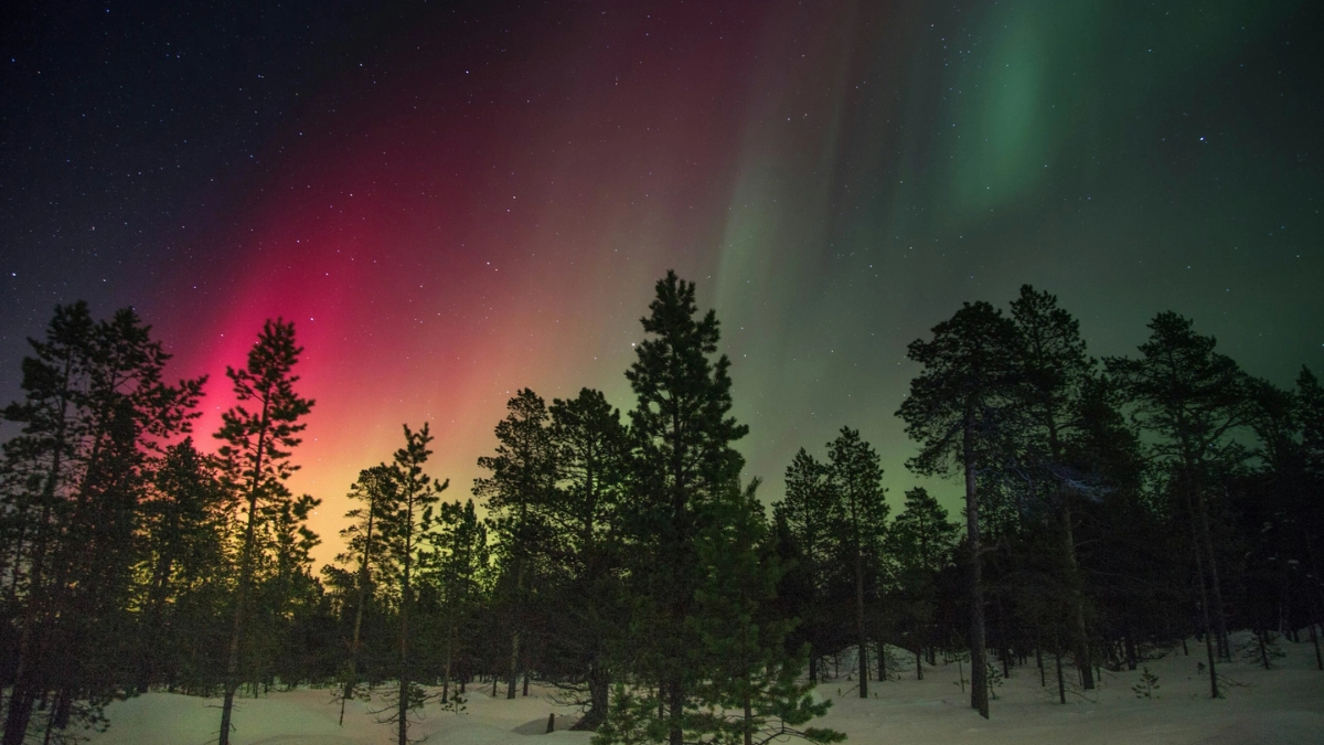 Vibrant aurora borealis over snowy trees during geomagnetic storm in 2025
