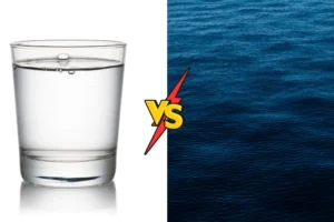 Close-up contrasting clear water in a glass on the left with deep blue ocean water on the right