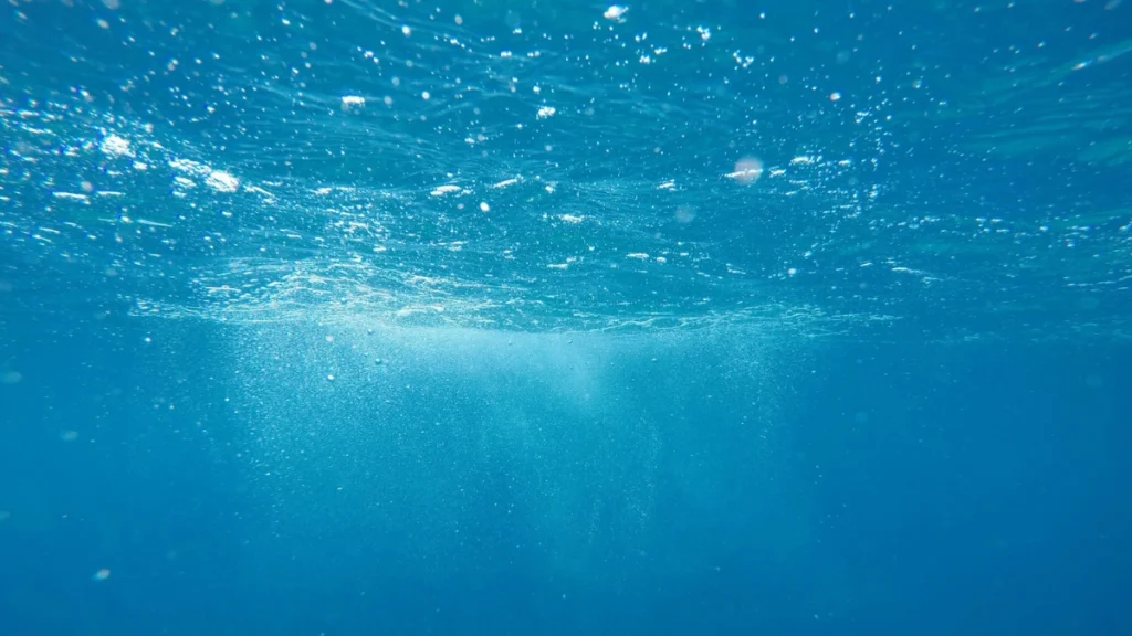 Why Is Ocean Water Blue